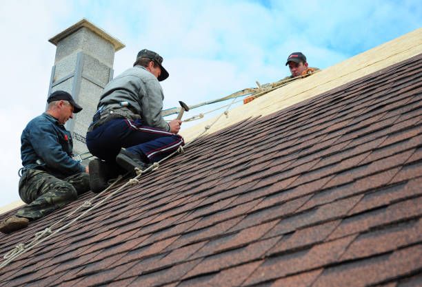 Best Roof Gutter Cleaning  in Overlea, MD